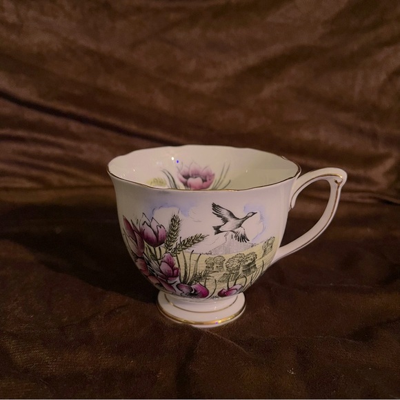 Queen Anne Bone China teacup - Picture 1 of 3